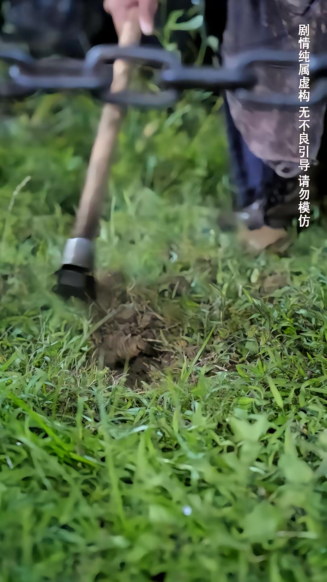 《种菜十年，我无敌了》剧照