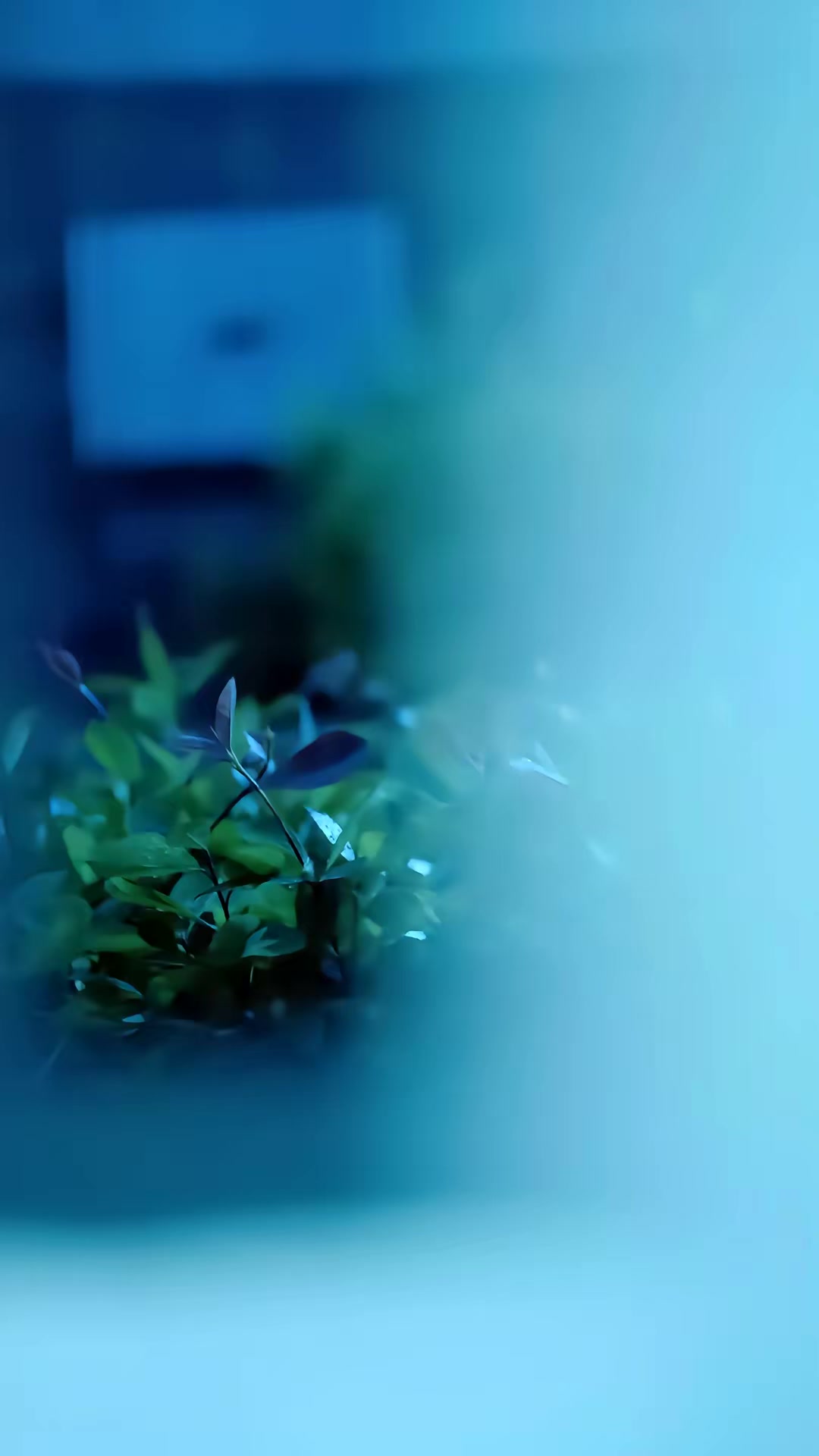 《404的秘密》剧照