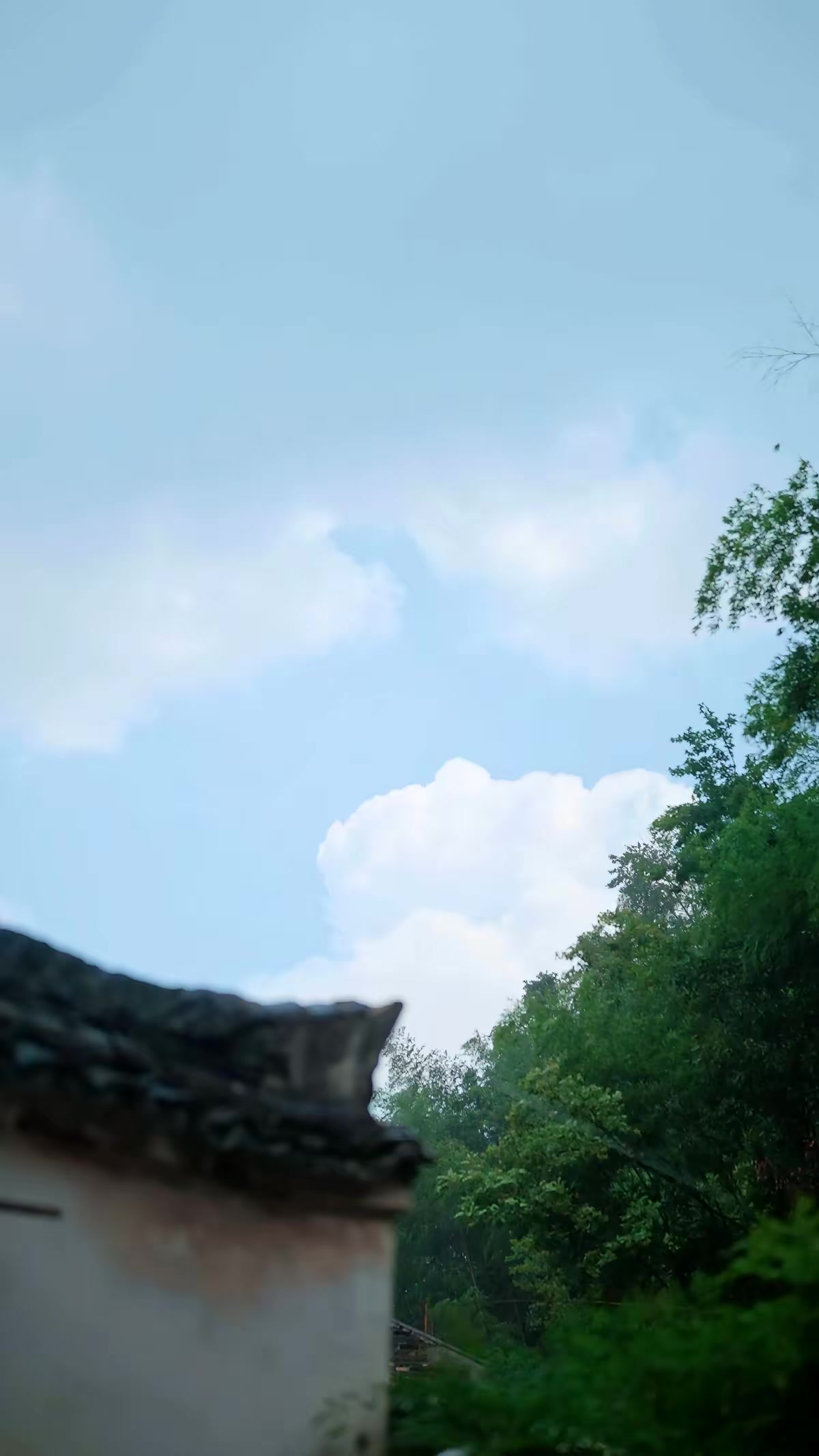 《一盞星星燈》劇照
