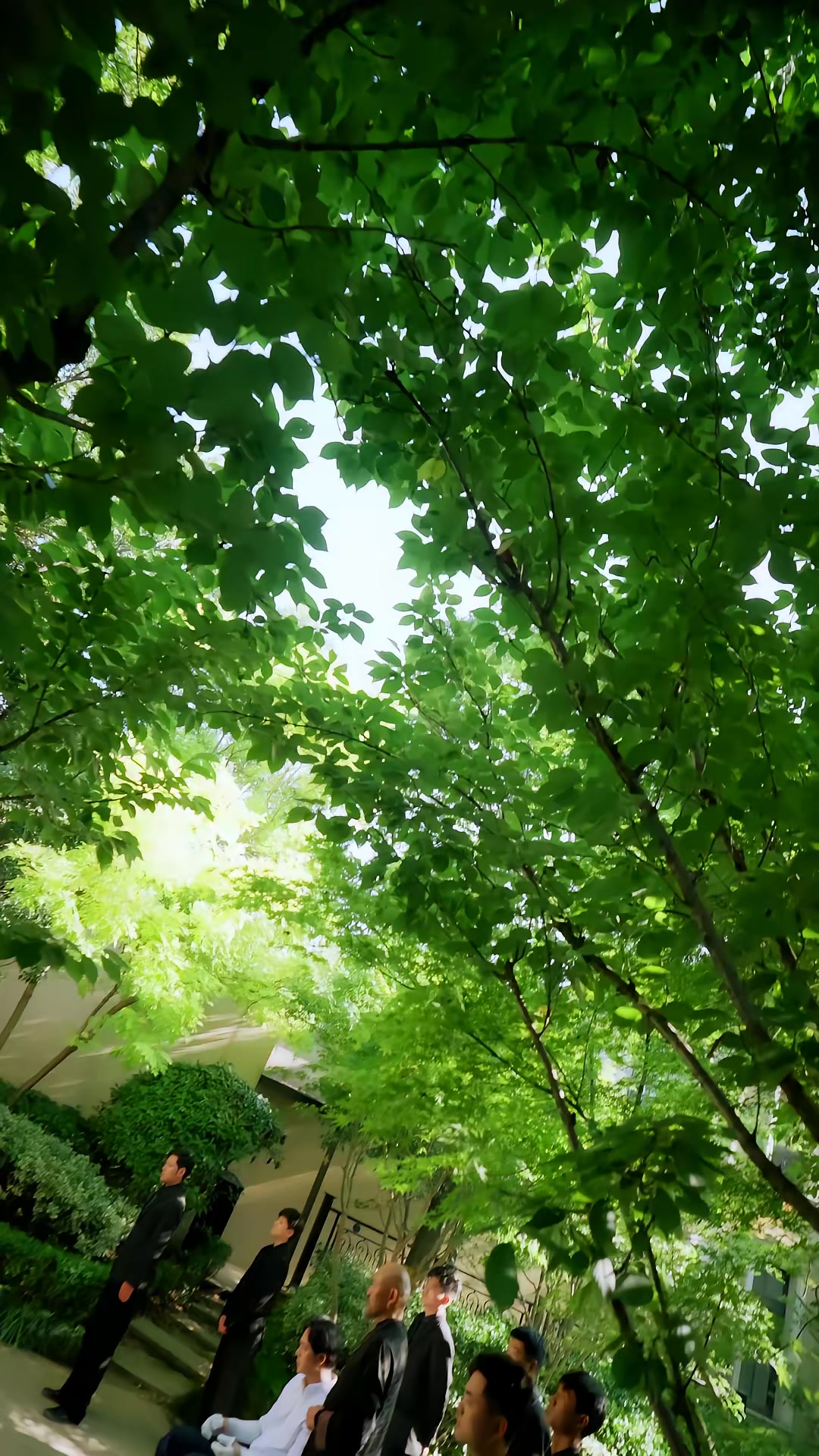 《天仙歸來，重整家族榮光》劇照