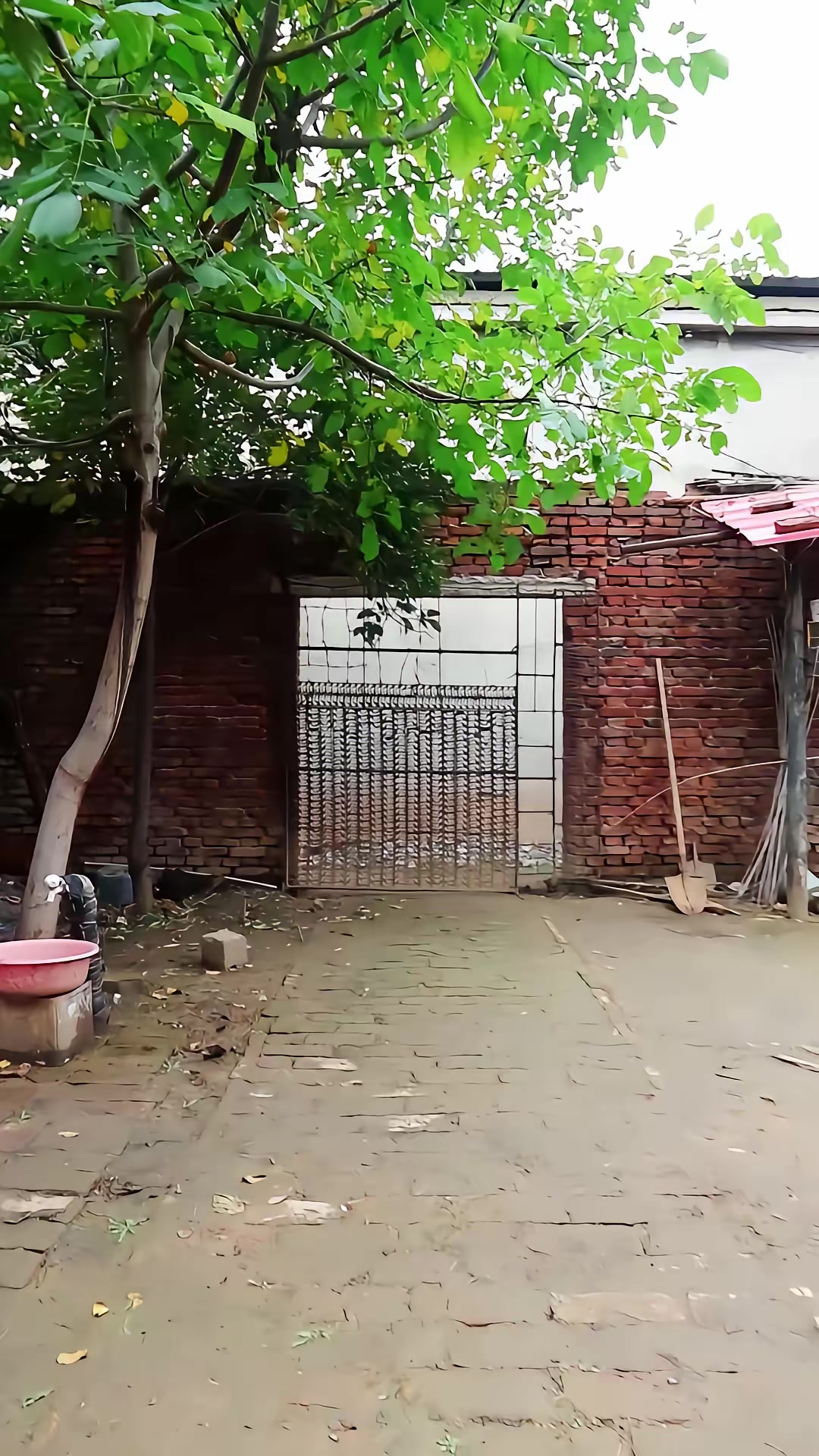 《狐闹》剧照