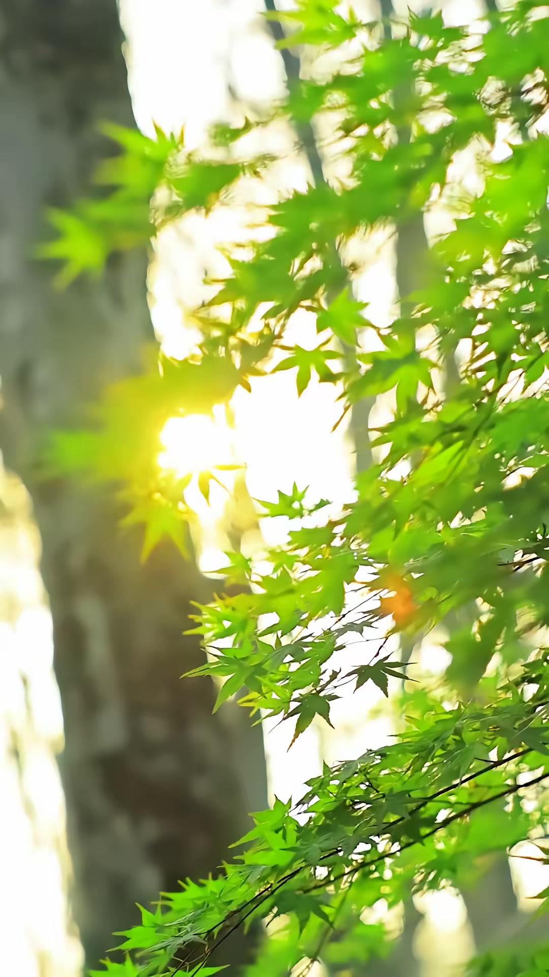 《癌症晚期離婚》劇照