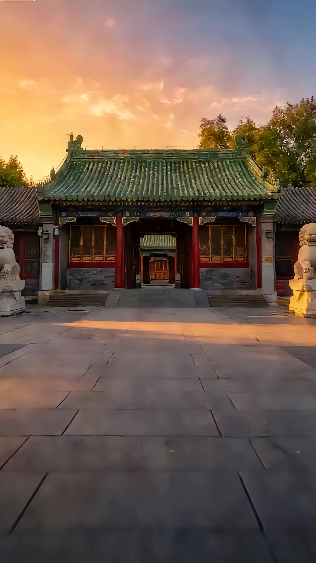 《什么白月光，我是他们的黑心莲》剧照