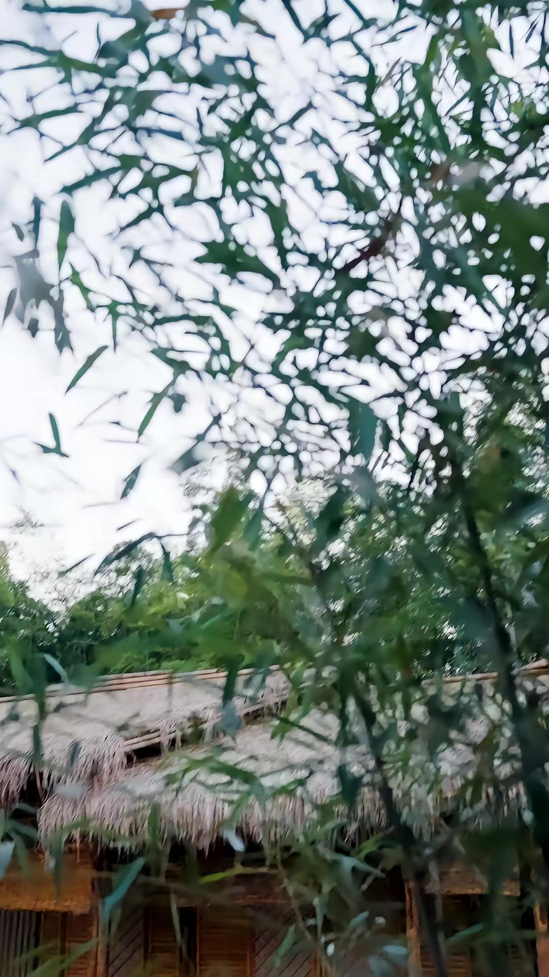 《我欲成仙》剧照