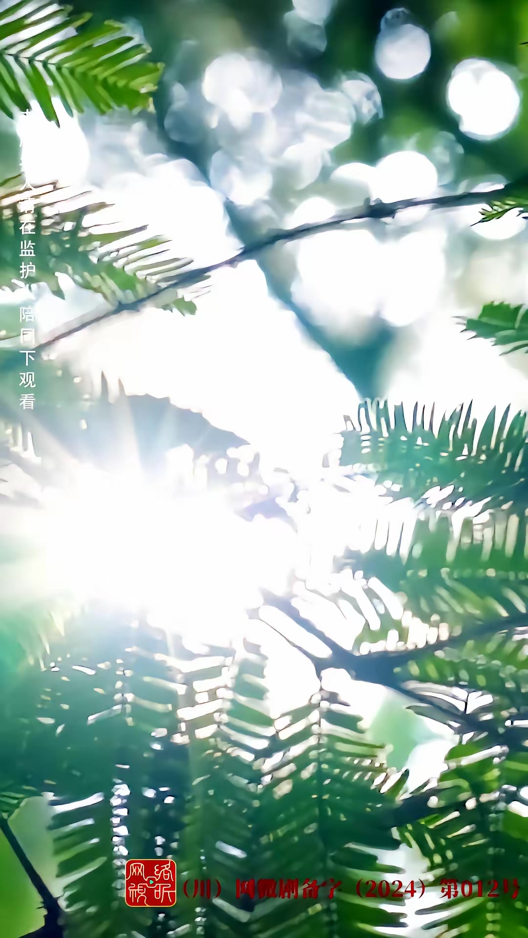 《荒野迷踪》剧照