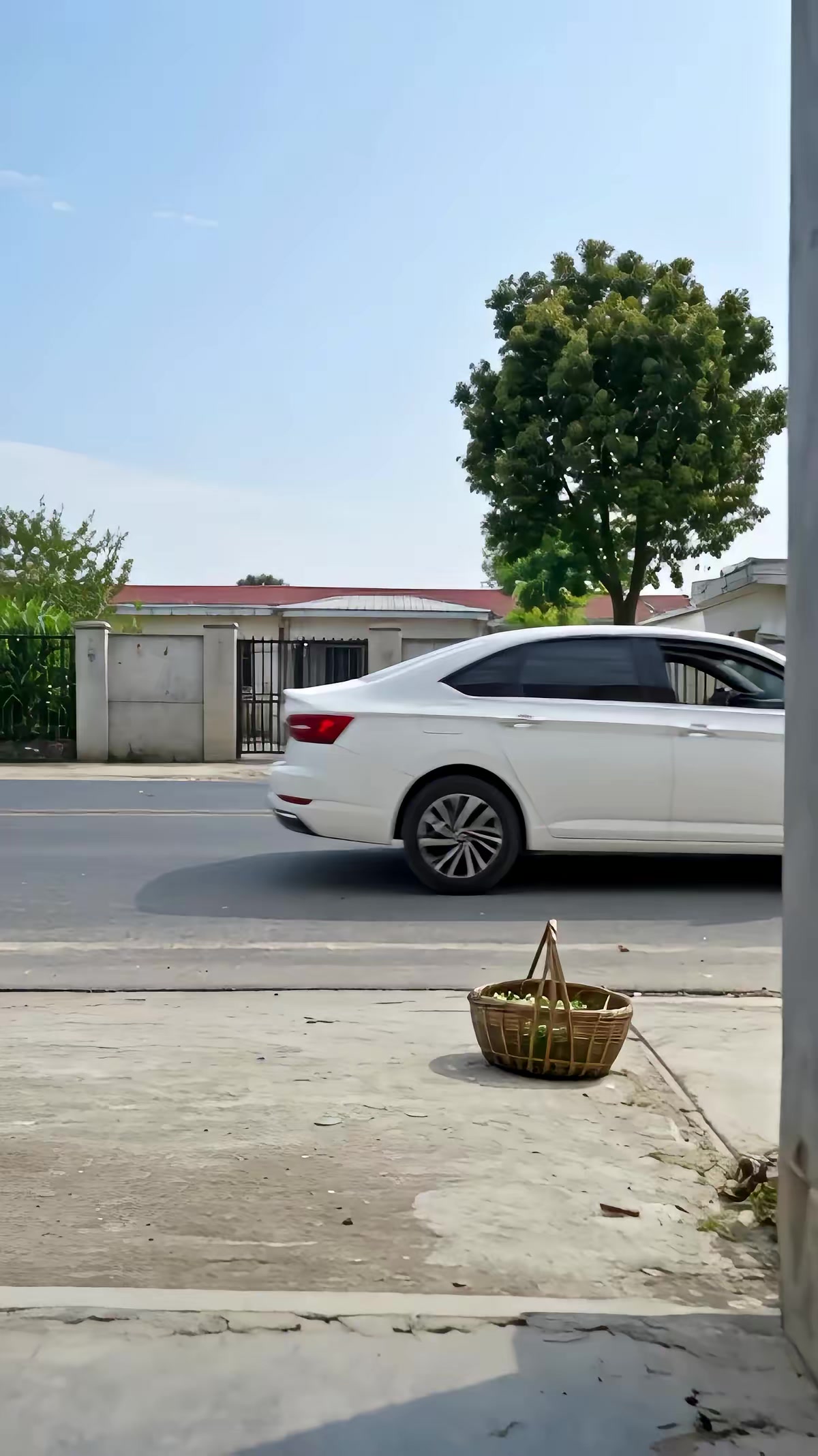 《福宝玉佩通古今，乱世建设桃花源第2季》剧照