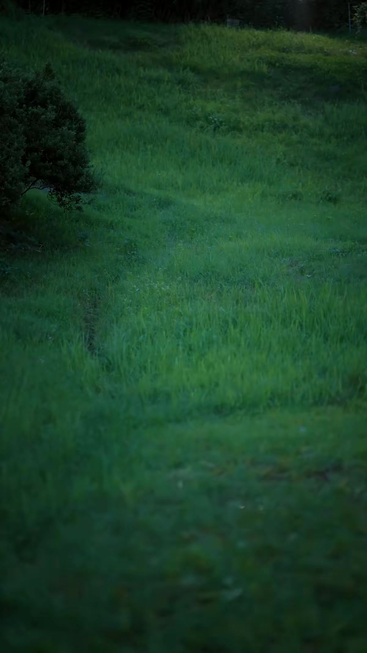《一盞星星燈》劇照