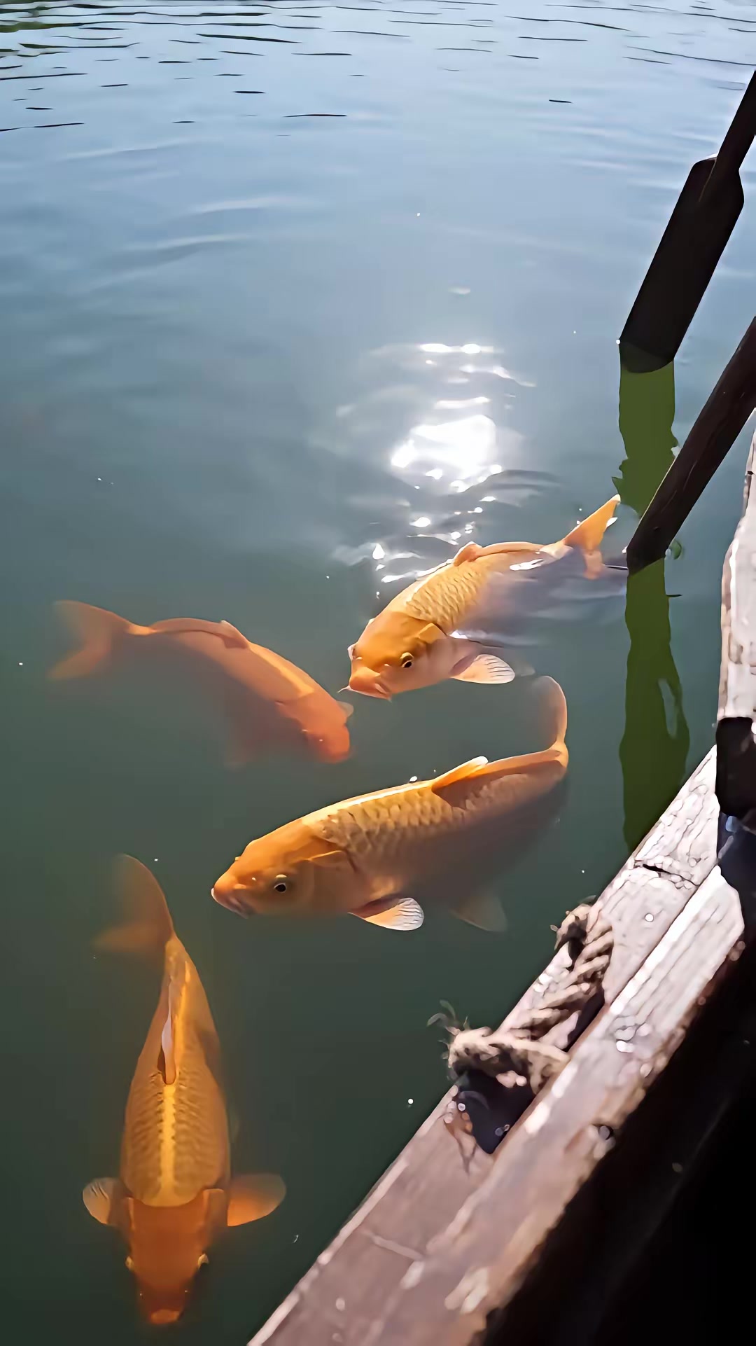 《侯門浮夢錄第二季》劇照