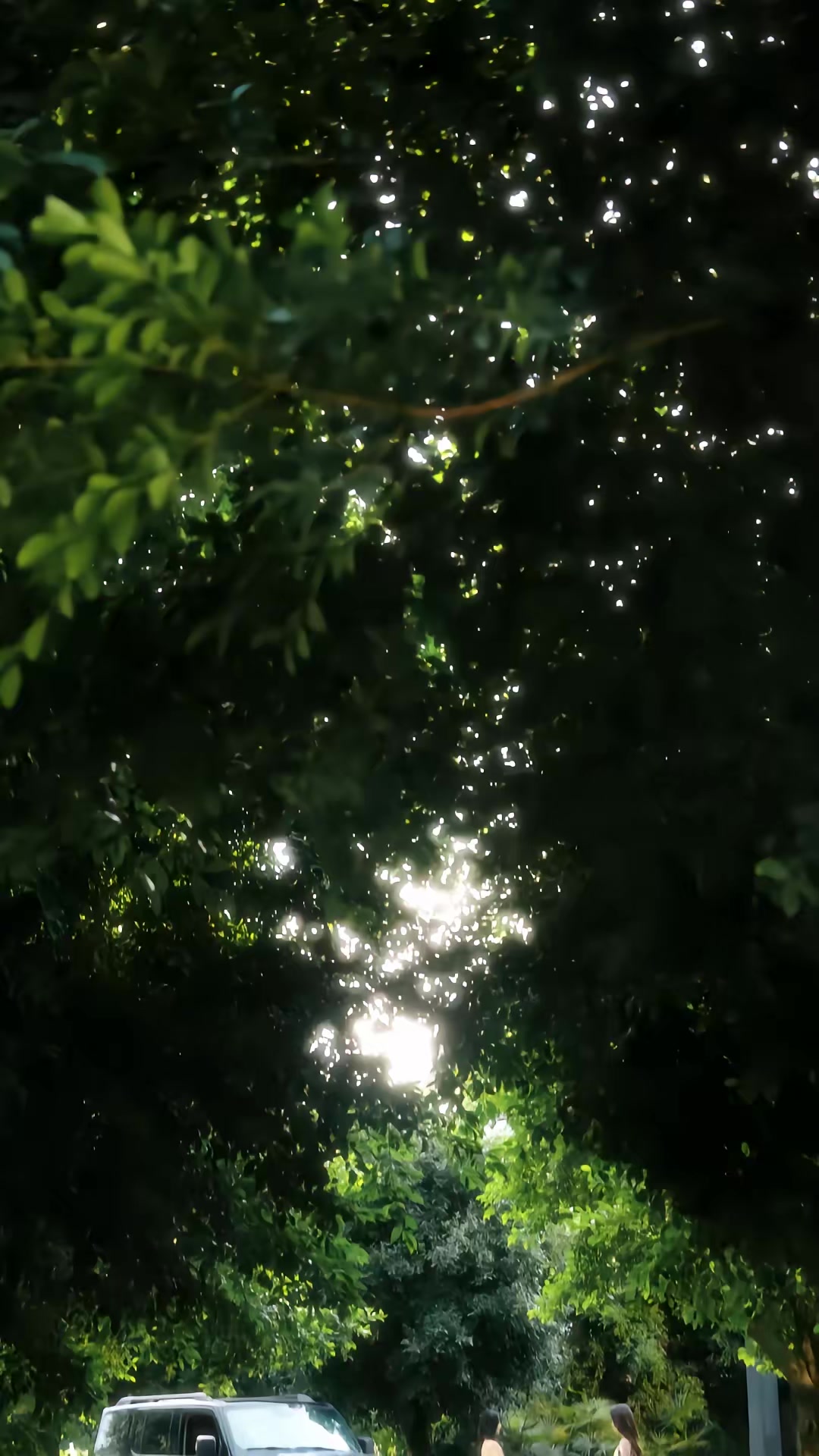 《归路》剧照