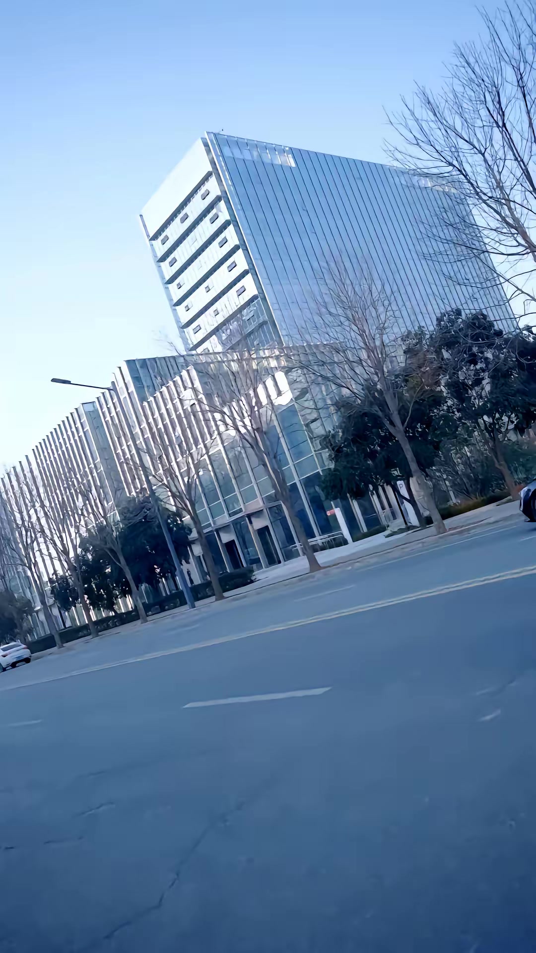 《穿越校園：我護青梅防劇情殺》劇照