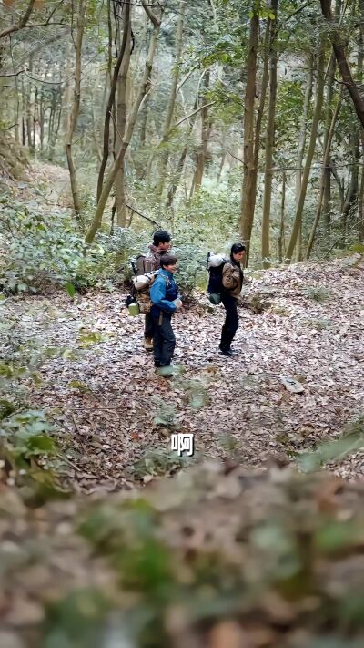 《荒野直播：我，食物链顶端的男人》剧照