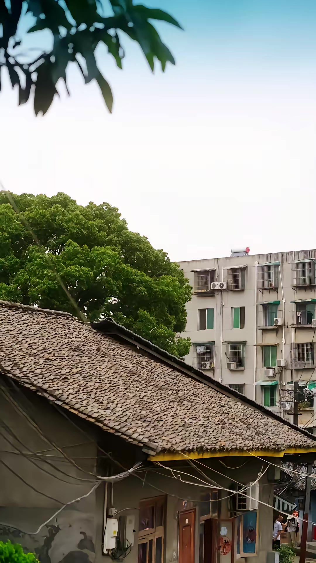 《归路》剧照