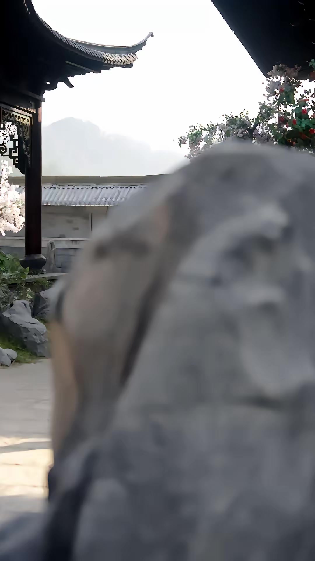 《什么白月光，我是他们的黑心莲》剧照
