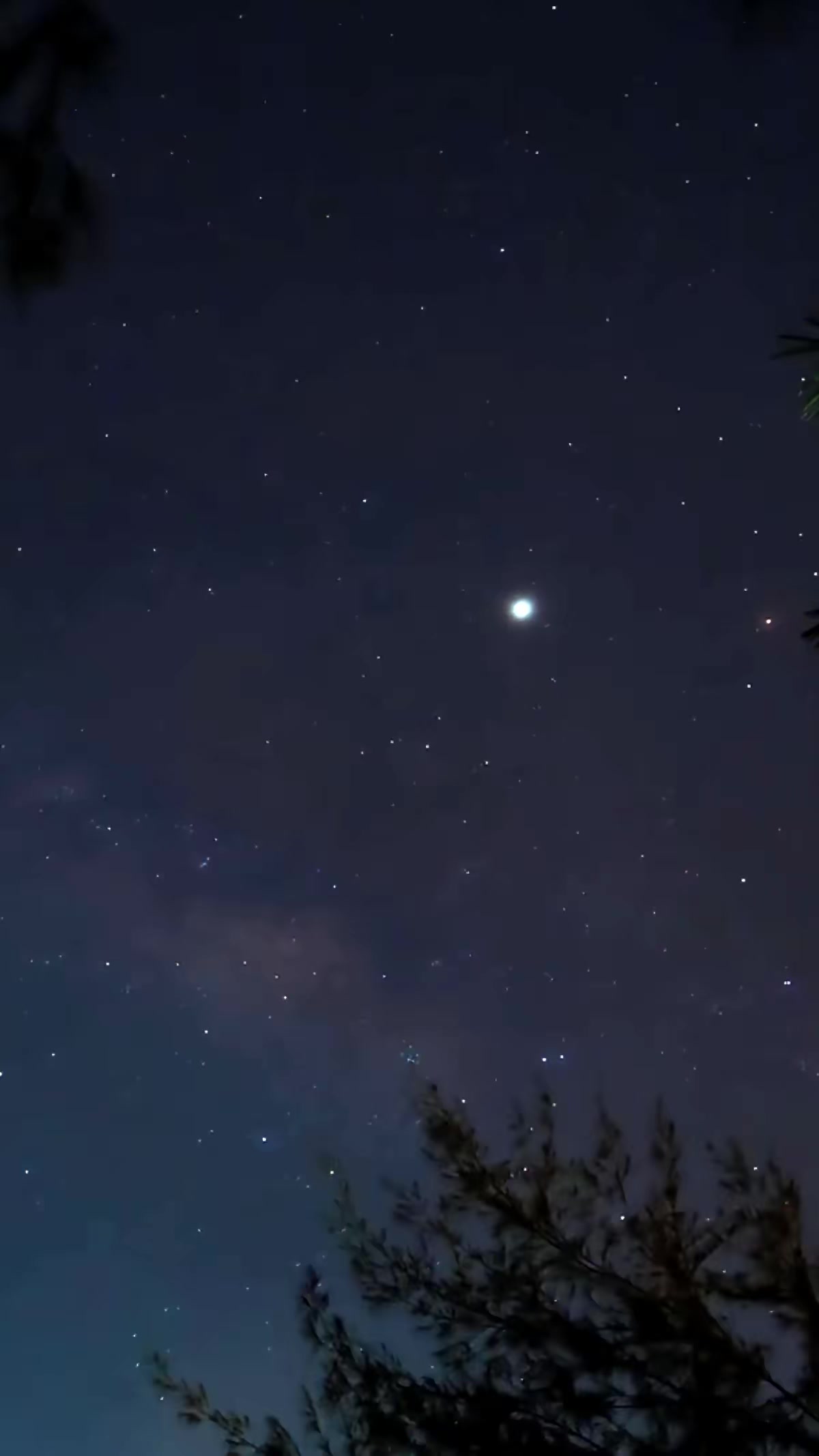《黄皮讨封》剧照