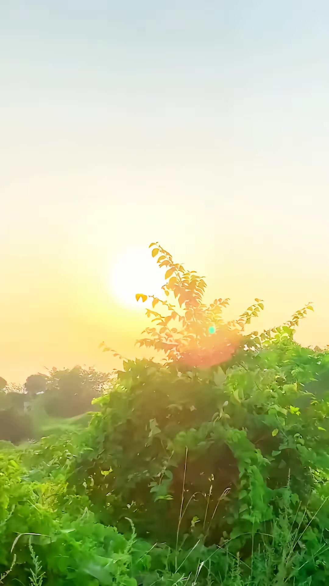 《凶狐》剧照