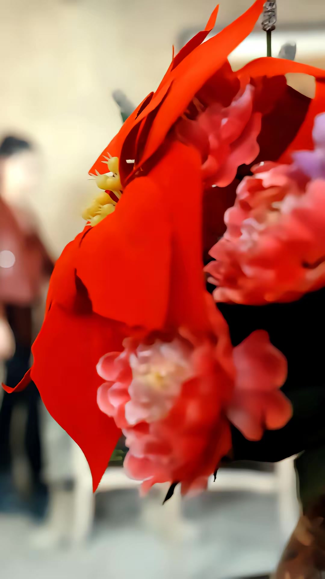 《荒野戰神》劇照