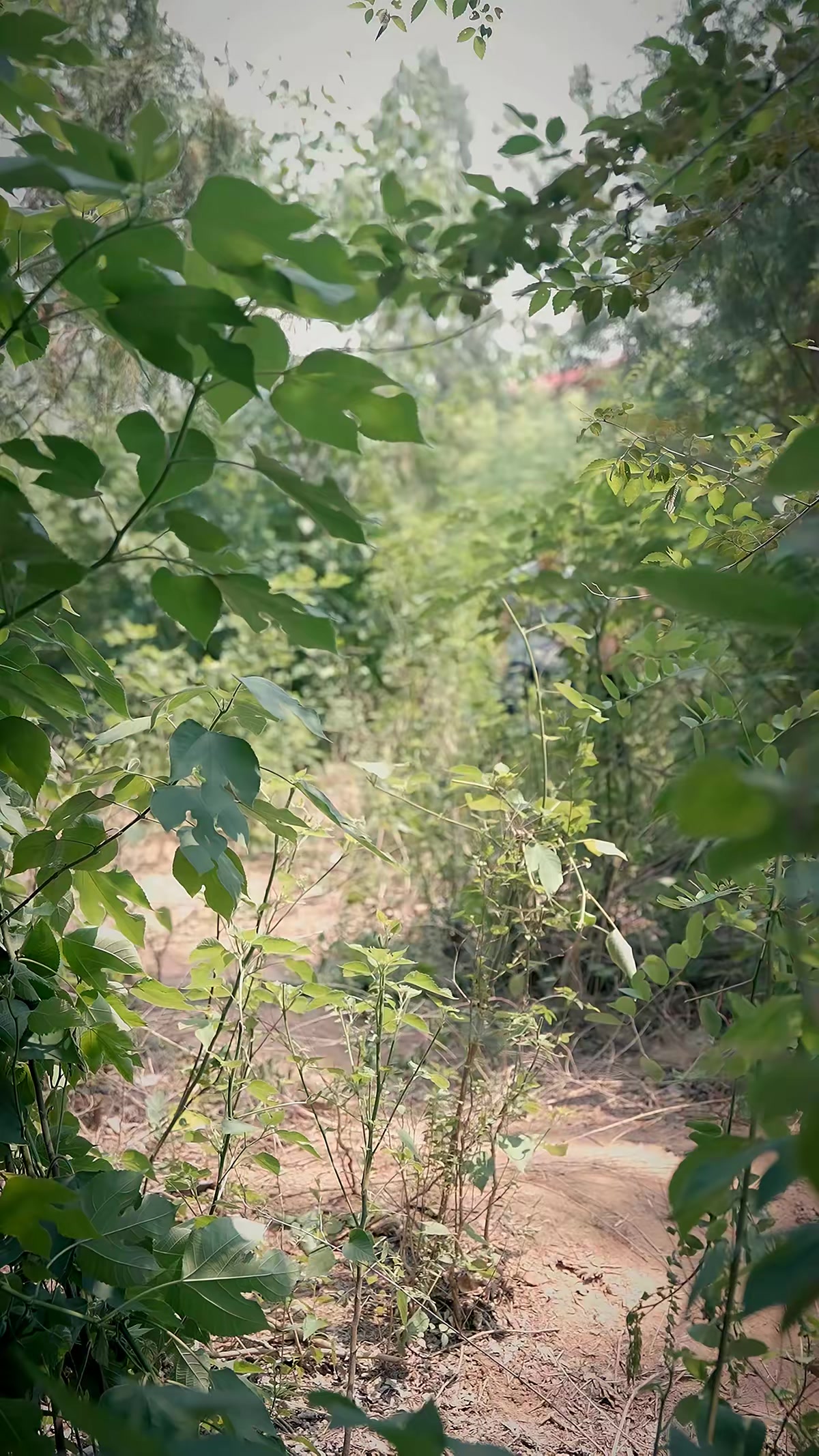 《兇獸追痕》劇照