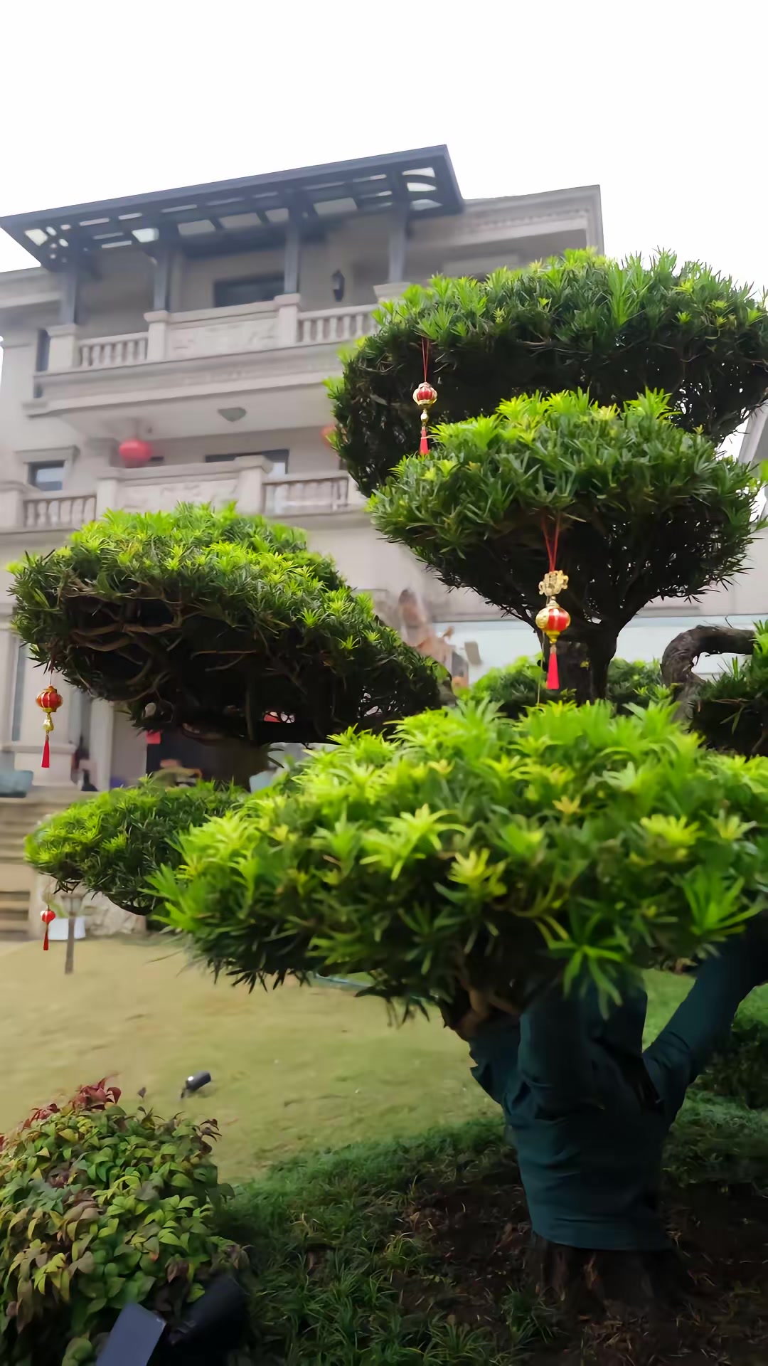 《凰權傾京》劇照