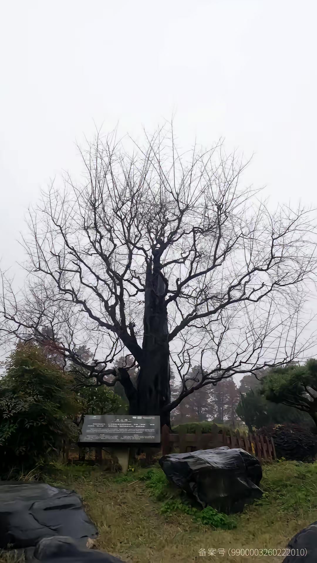 《歡迎來到新世界》劇照