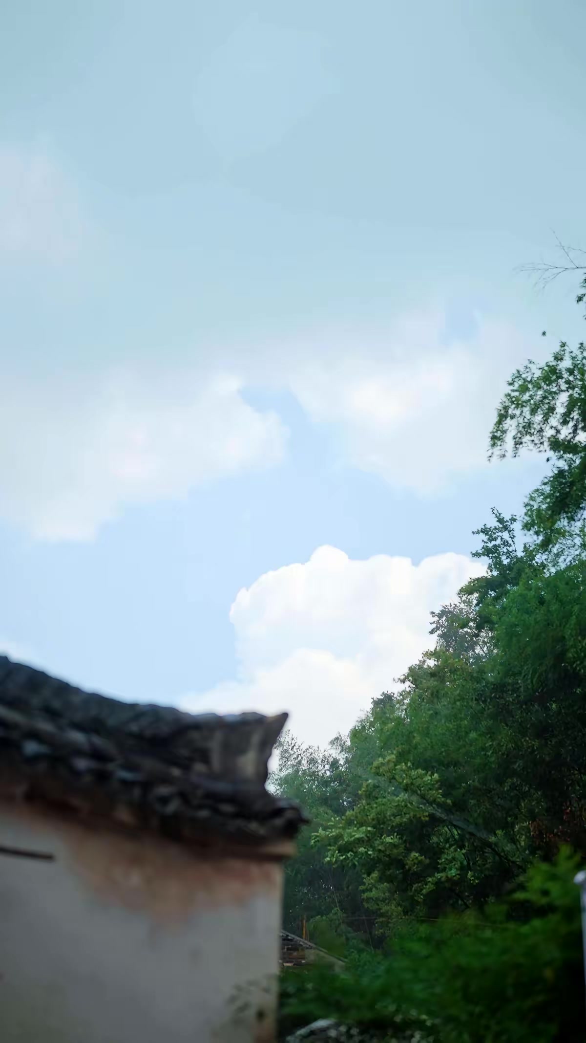 《一盞星星燈》劇照