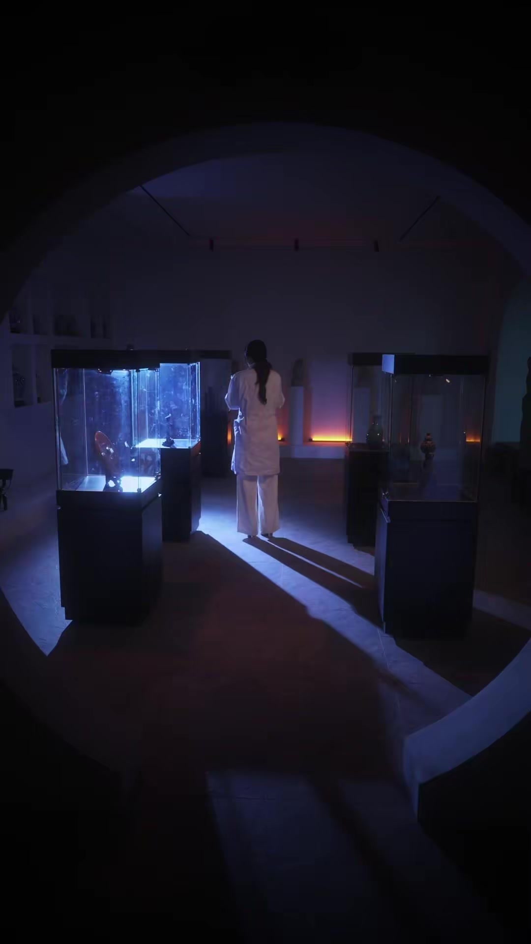 《我在博物館修文物，刀靈殺穿地下宮》劇照