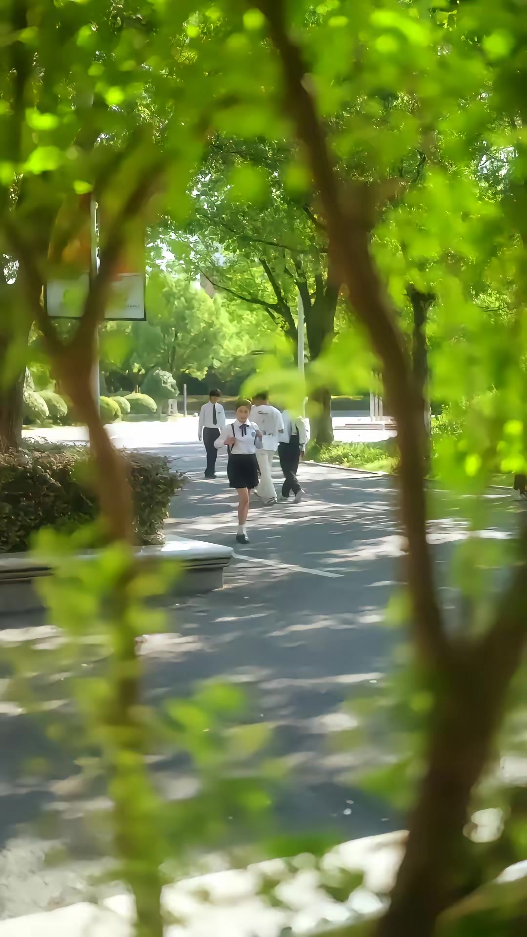 《梔映星辰》劇照
