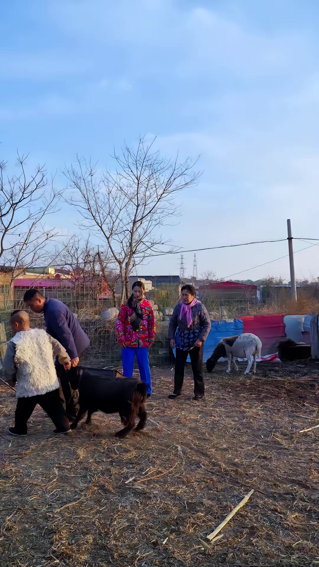 《邪惡的黑山羊》劇照