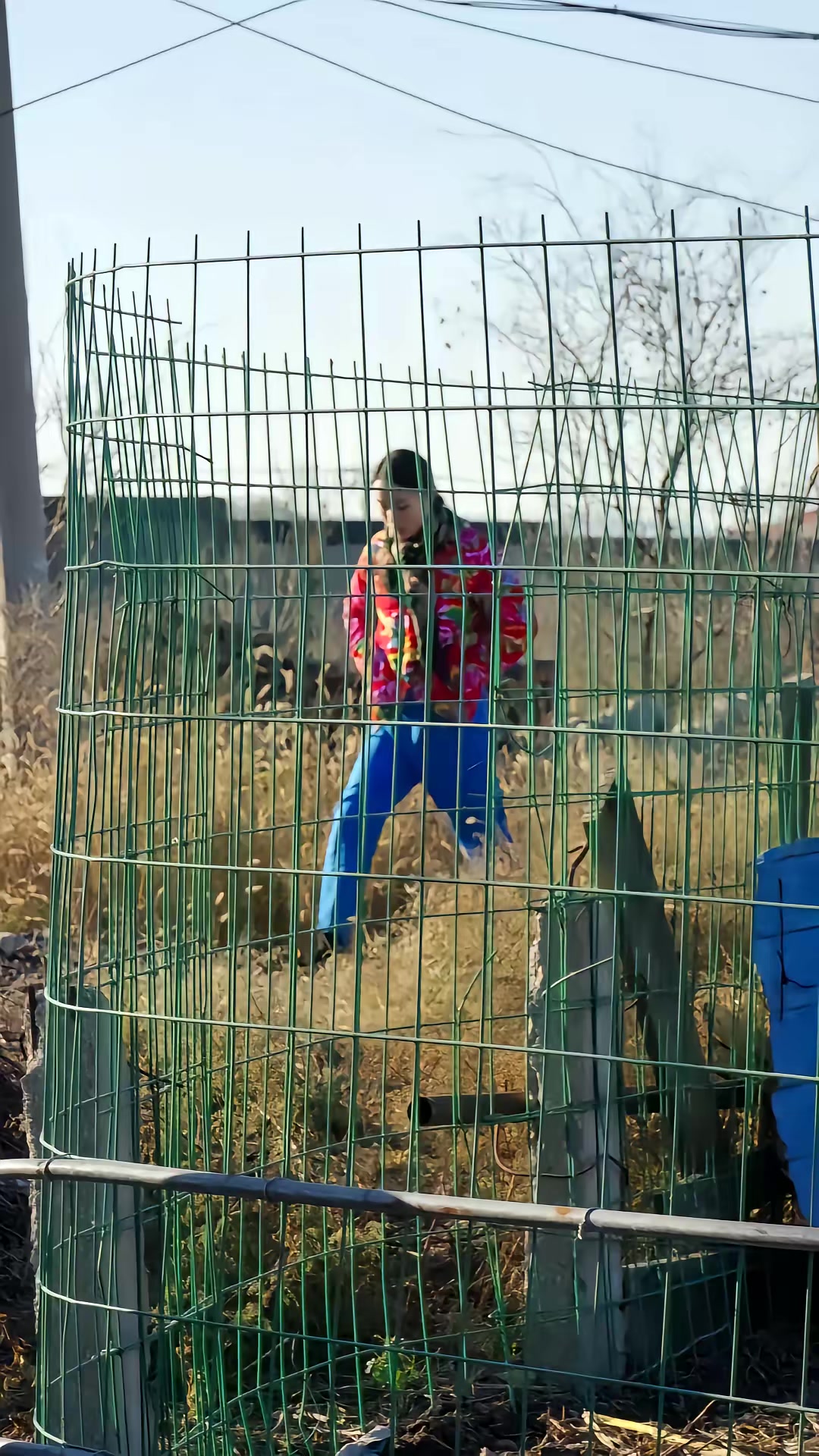 《邪惡的黑山羊》劇照