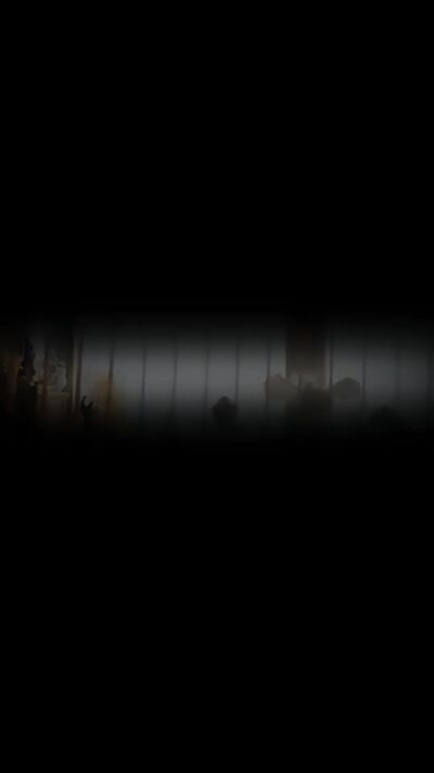 《我孫子怎麼成鸚鵡了》劇照