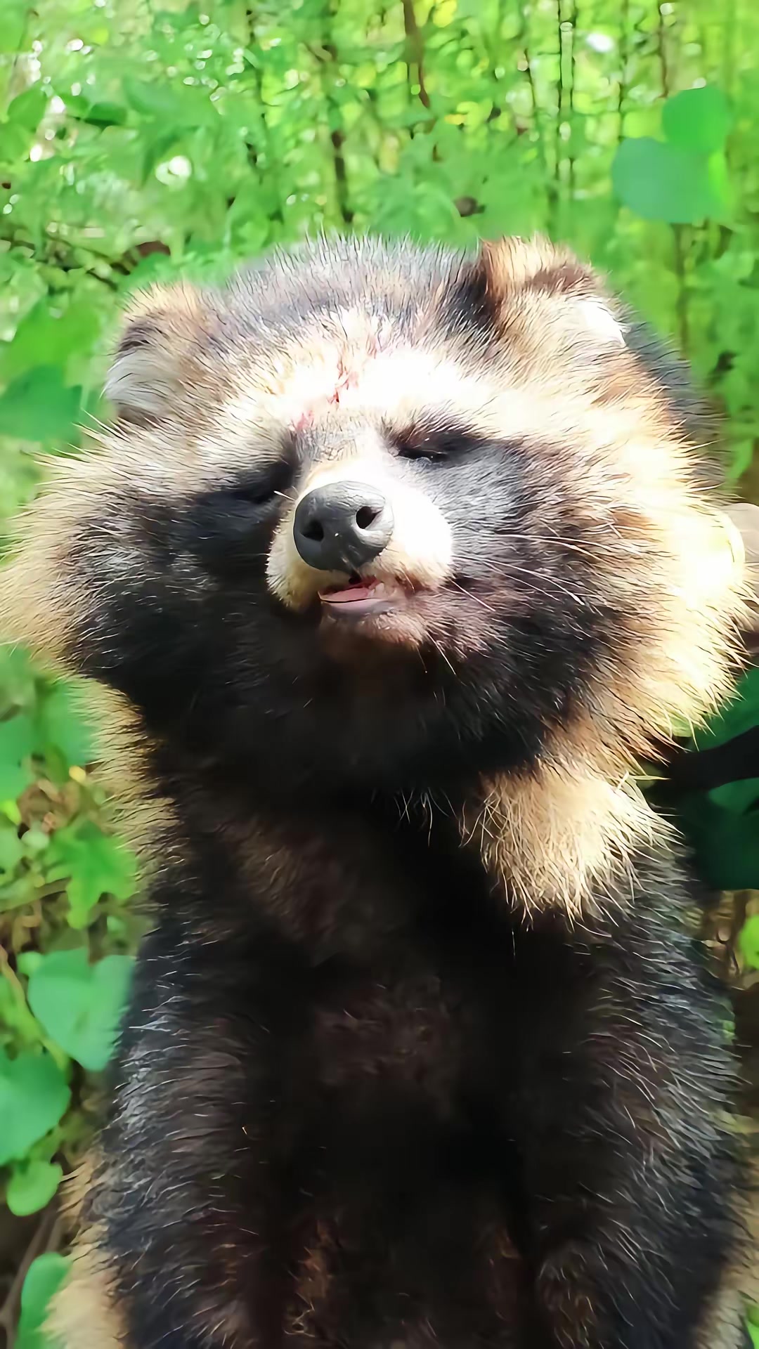 《狐闹》剧照