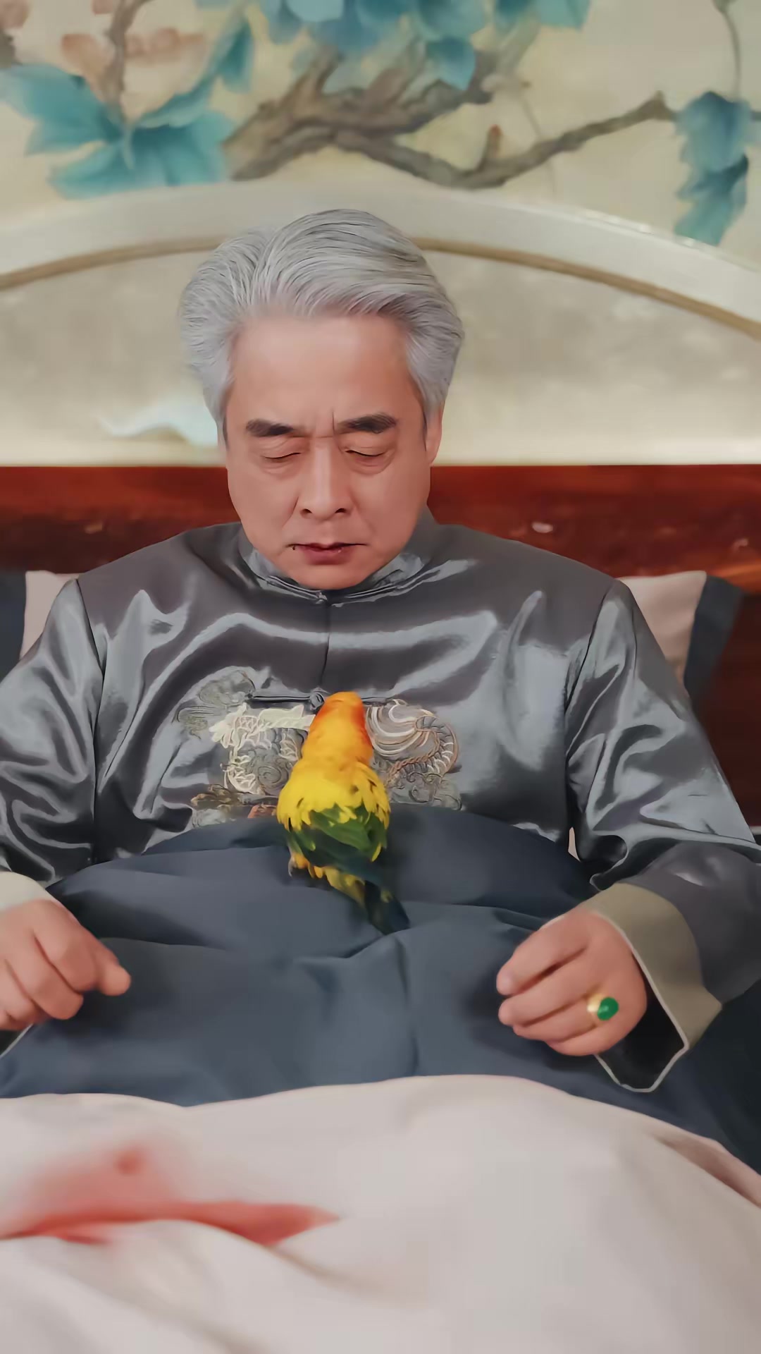 《我孫子怎麼成鸚鵡了》劇照