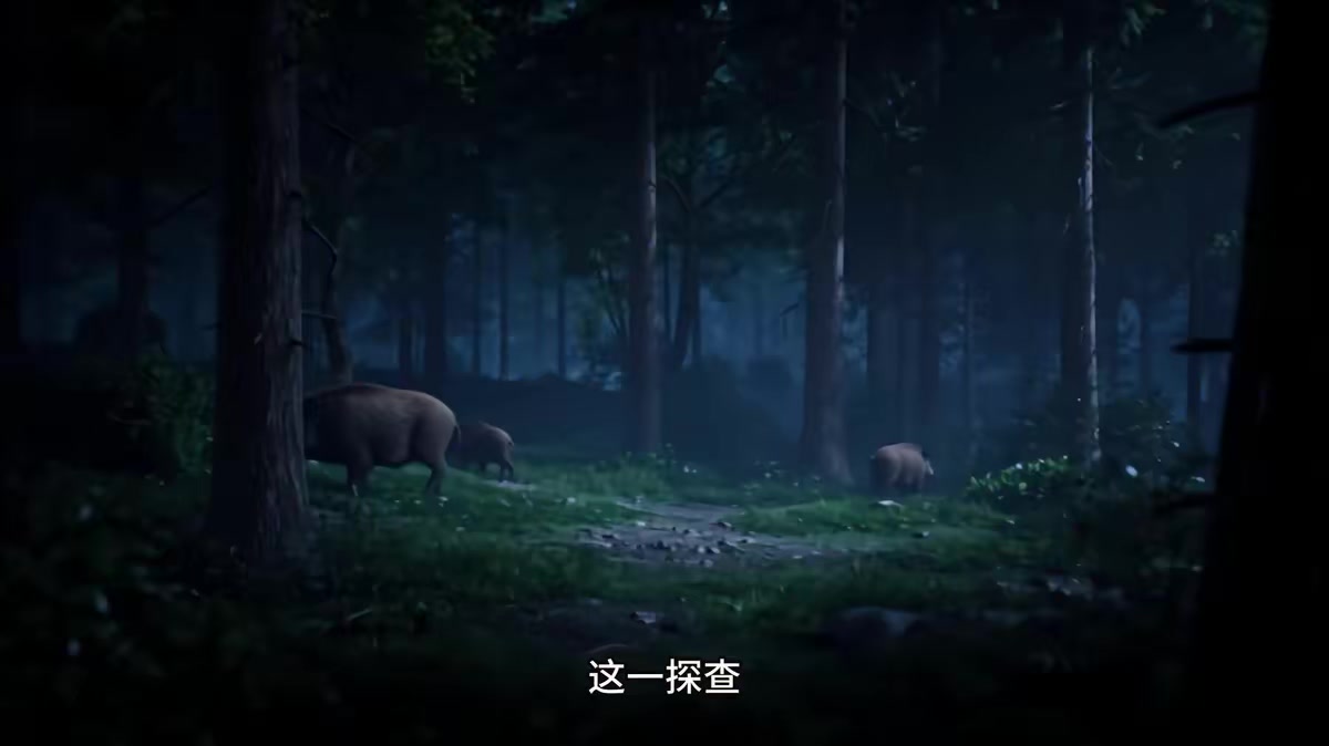 《白首與她歸，陪你等風來》劇照