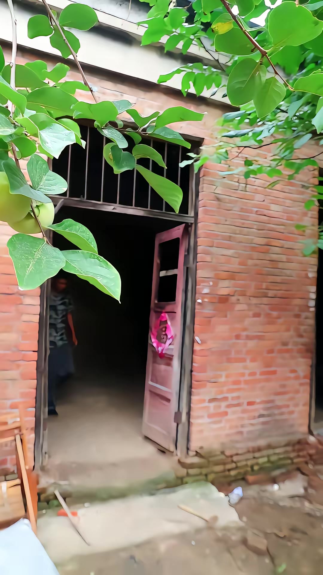 《凶狐》剧照