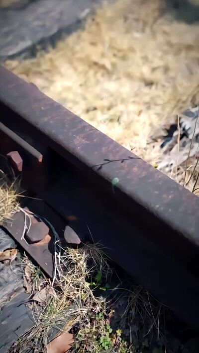 《我家矮马秒变大白龙，反派全跪了》剧照