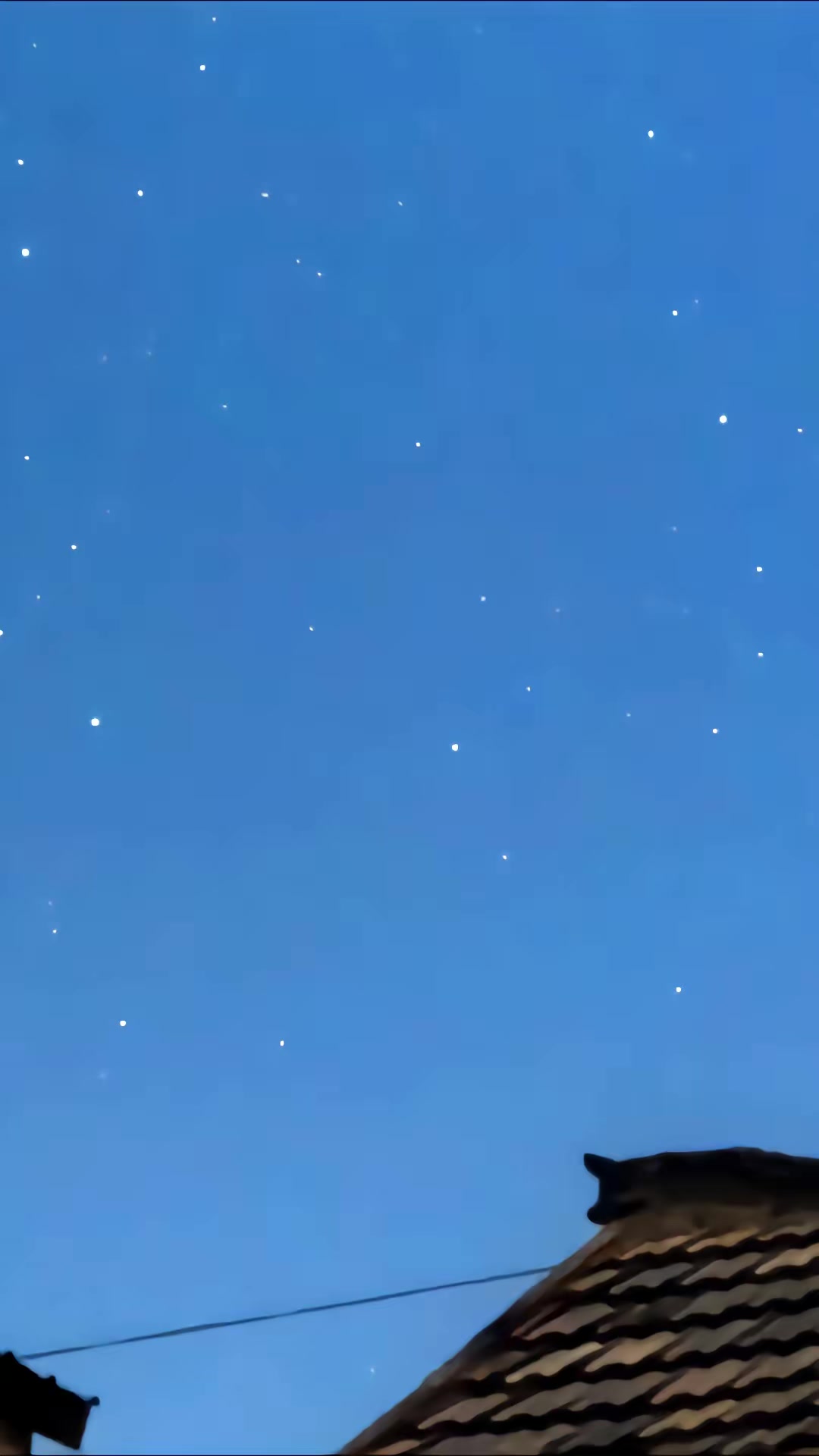 《將軍令之老祖駕到扭轉乾坤》劇照