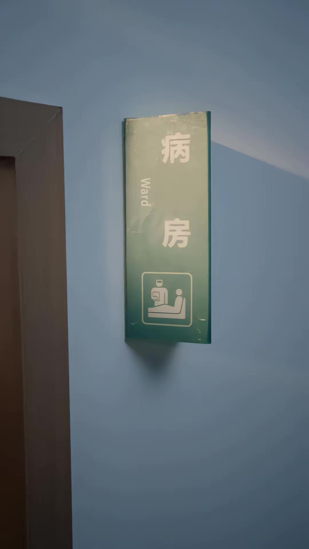 《剛重生，我就和高冷校花追尾了》劇照