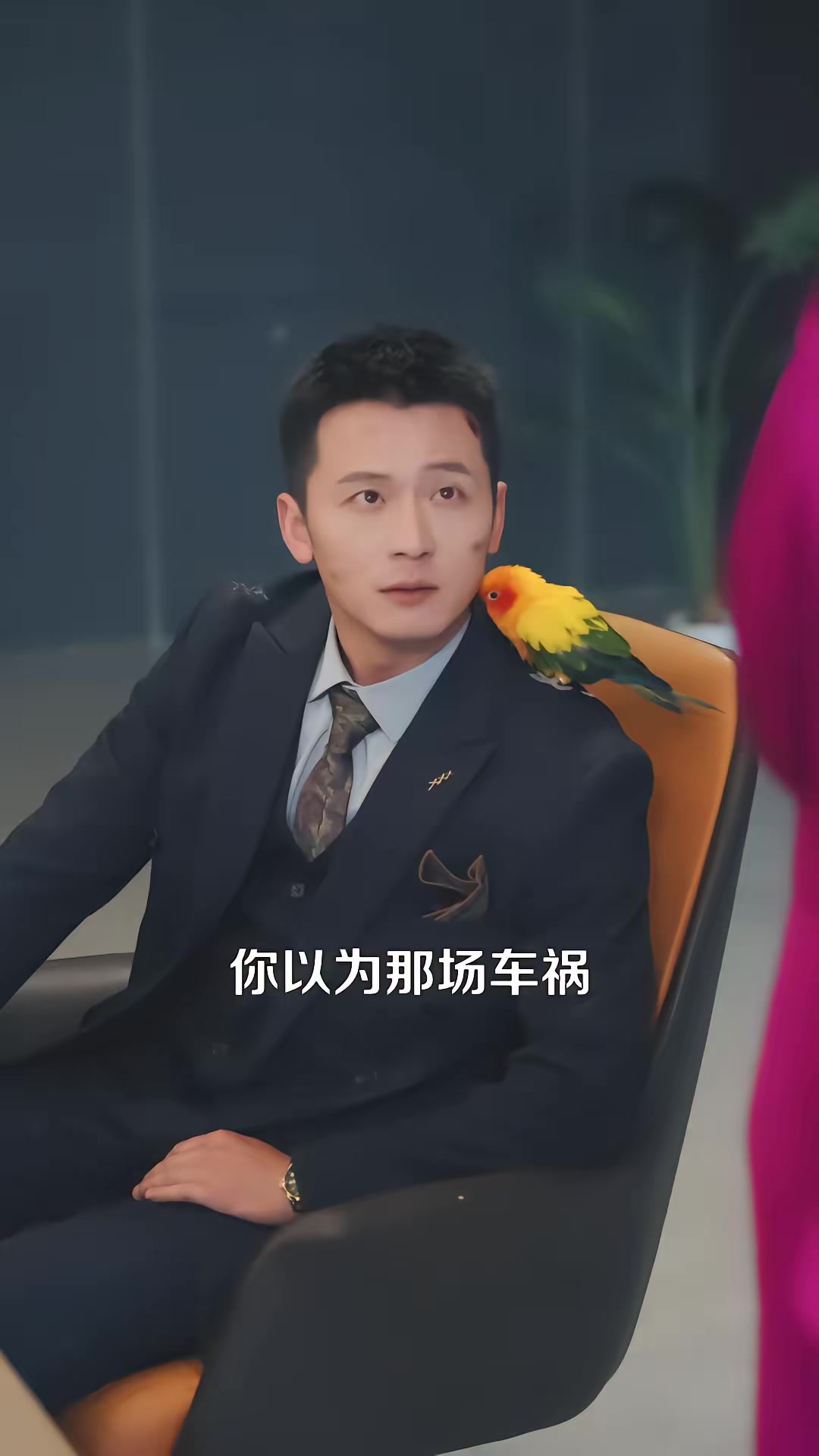《我孫子怎麼成鸚鵡了》劇照