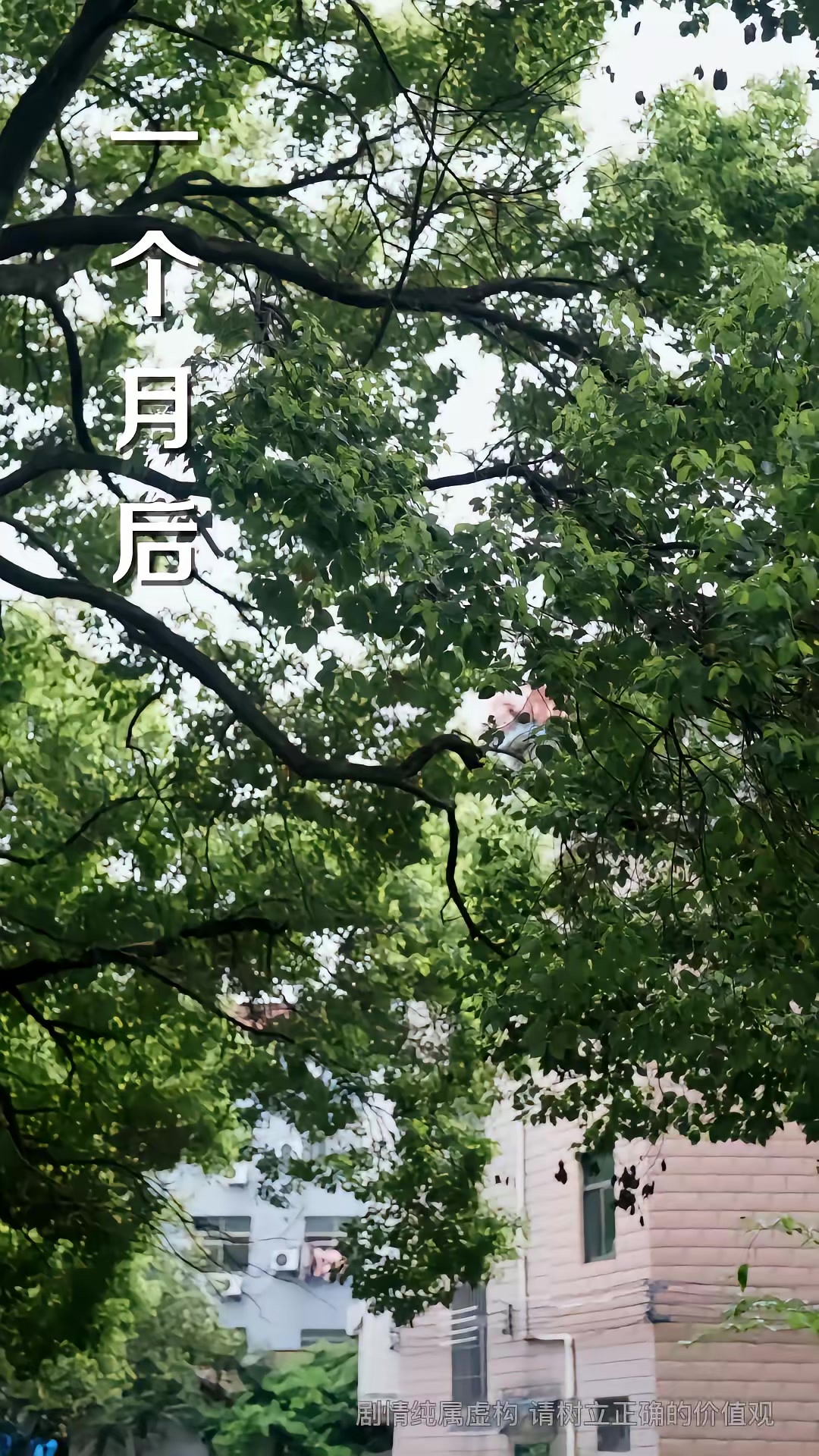 《我的车想要我的命》剧照