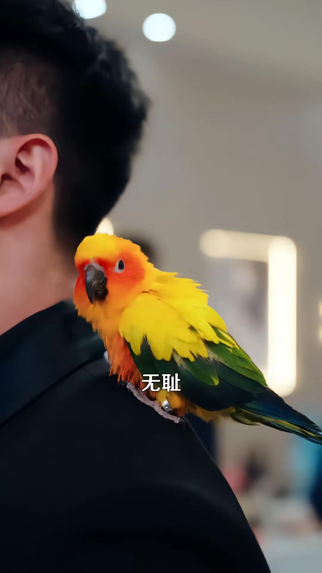《我孫子怎麼成鸚鵡了》劇照