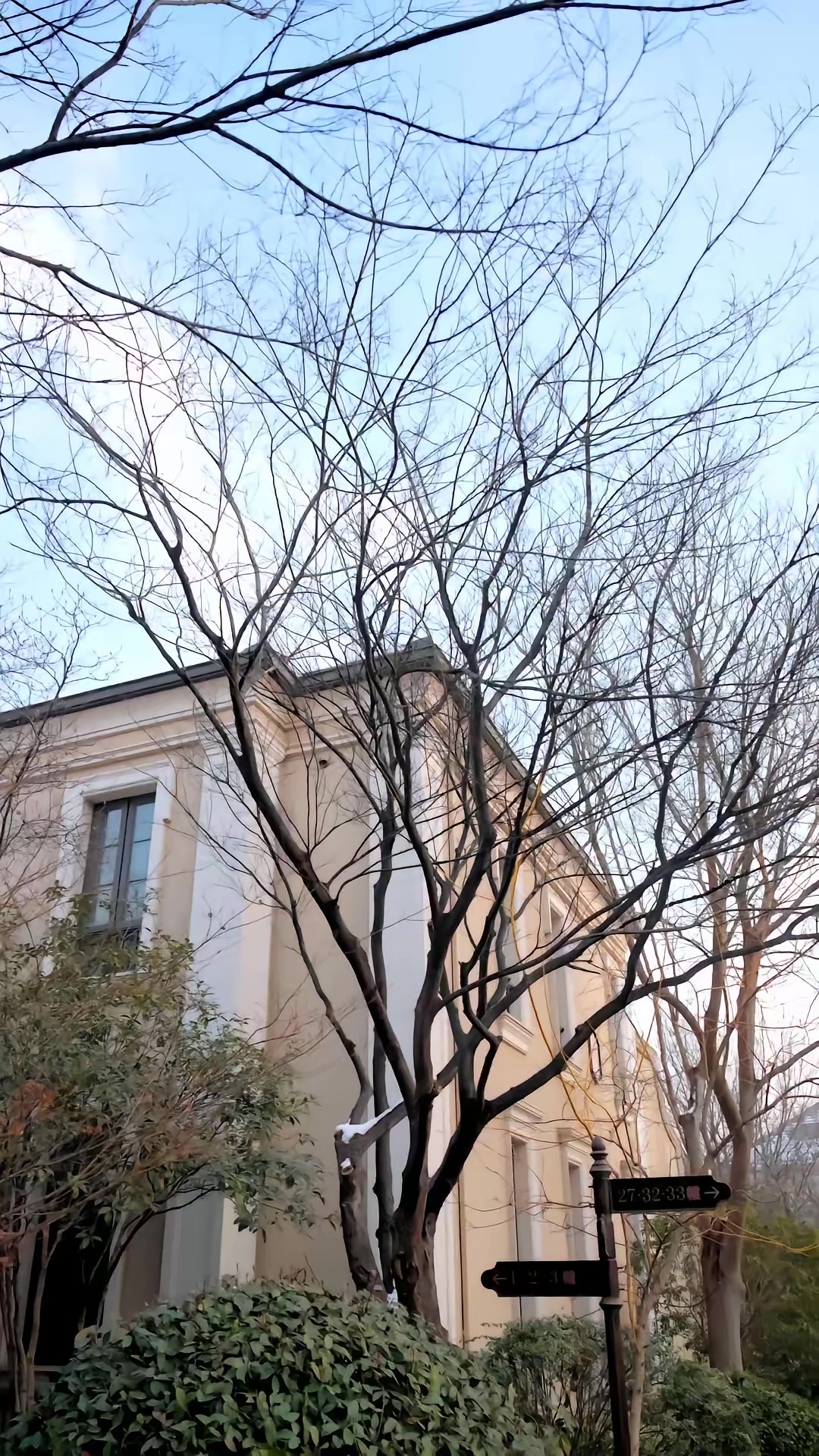 《京華無雙：江爺夫人她重磅迴歸》劇照