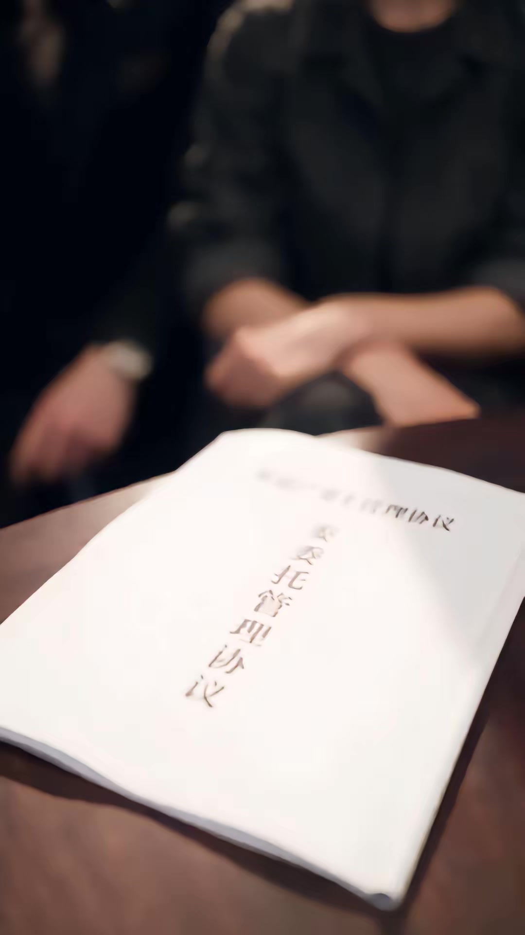 《親家母帶全家來我家過年》劇照