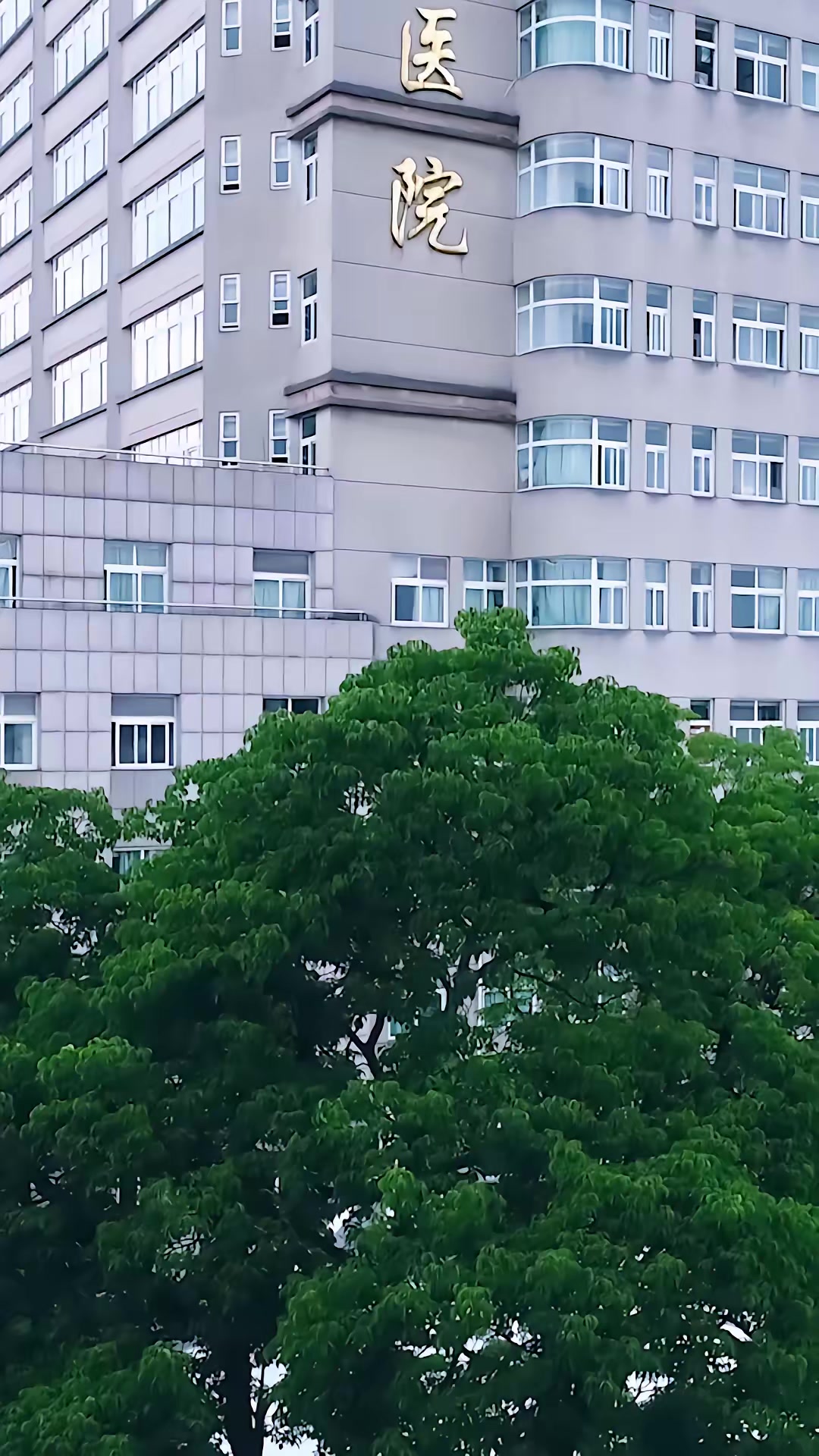 《拜錯墳後，太奶她顯靈了》劇照