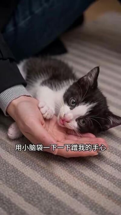 《散宴不回头》剧照
