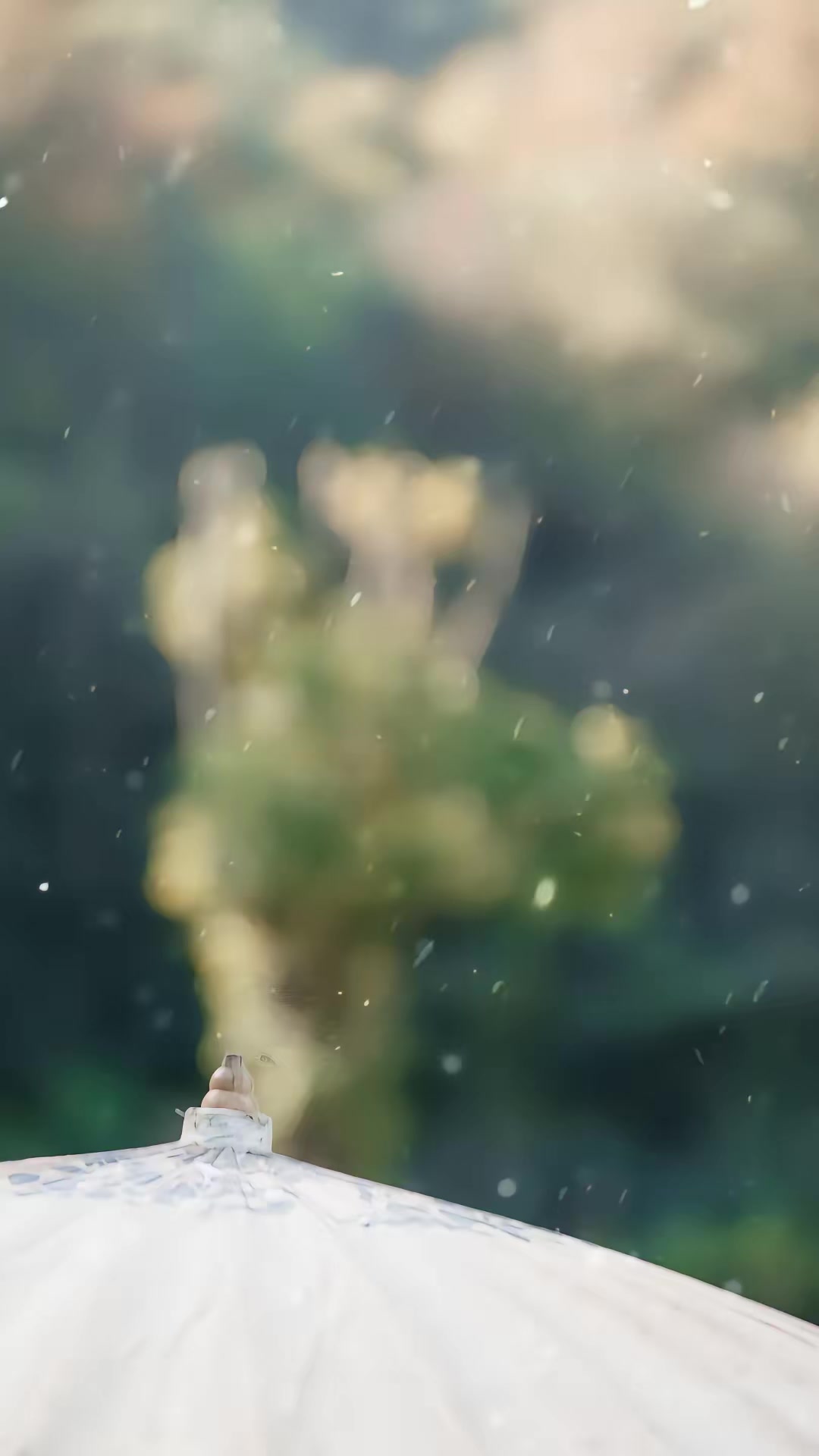 《不死帝师》剧照