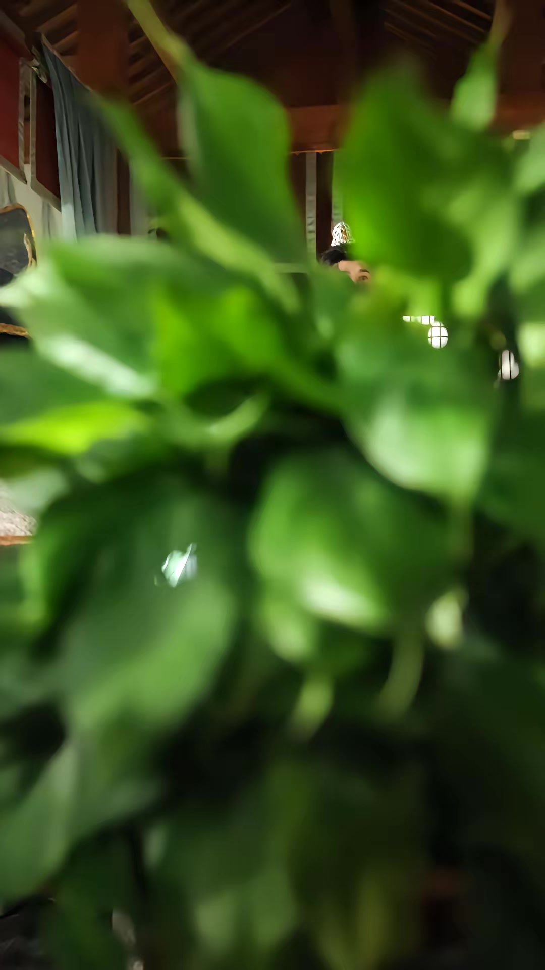 《被悍妻揍成絕世強者》劇照