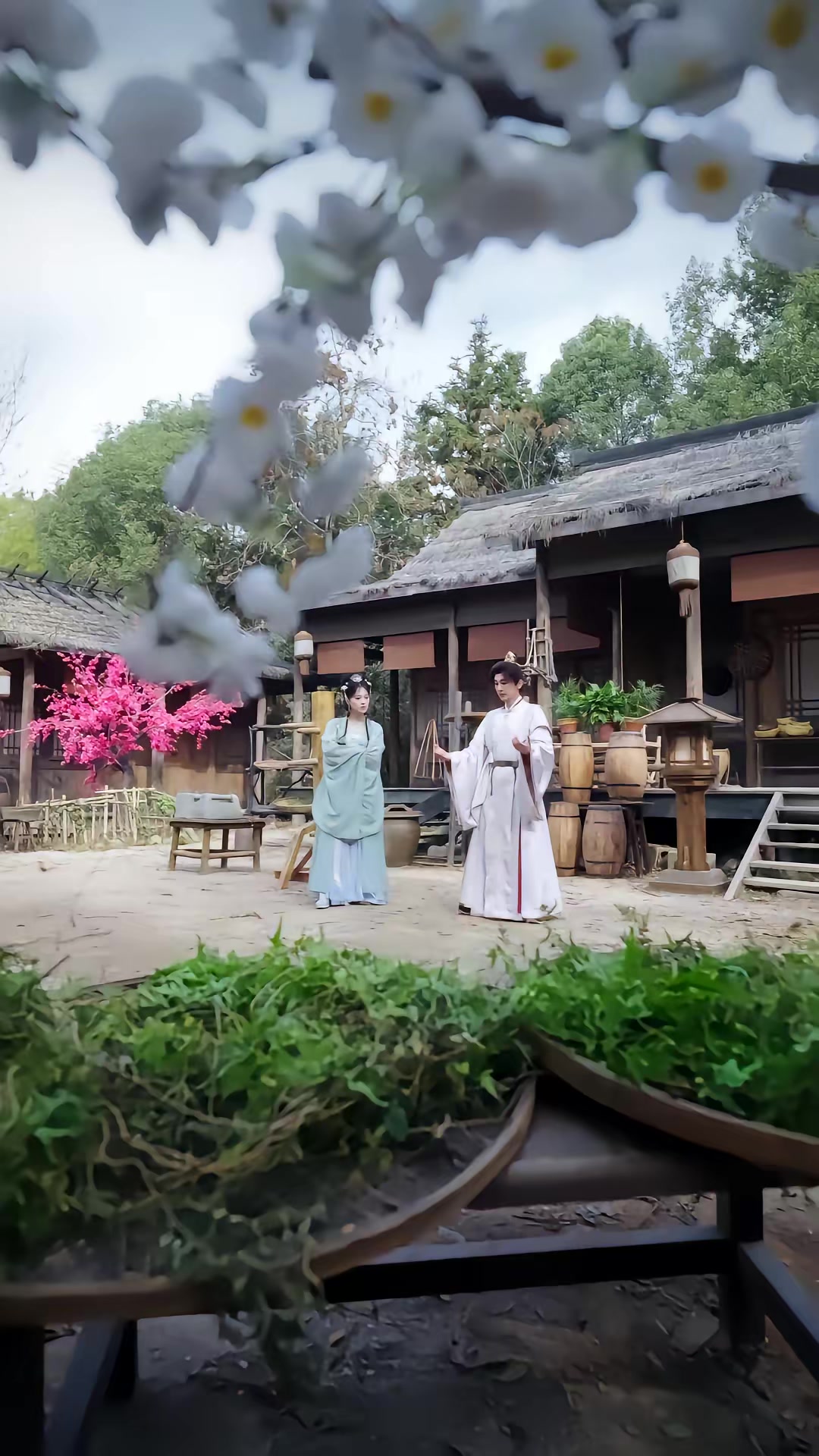 《被悍妻揍成絕世強者》劇照