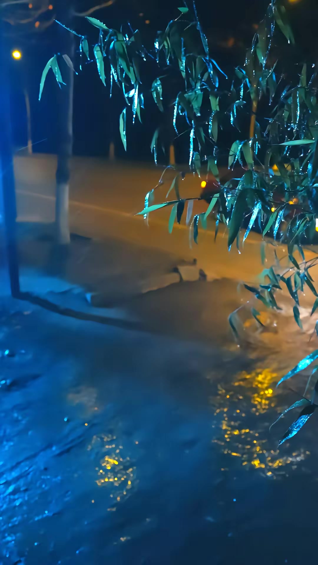 《明明你们都是诡异，怎么都怕我》剧照