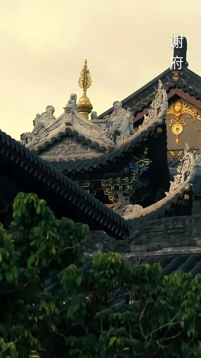 《桑屿已晚》剧照