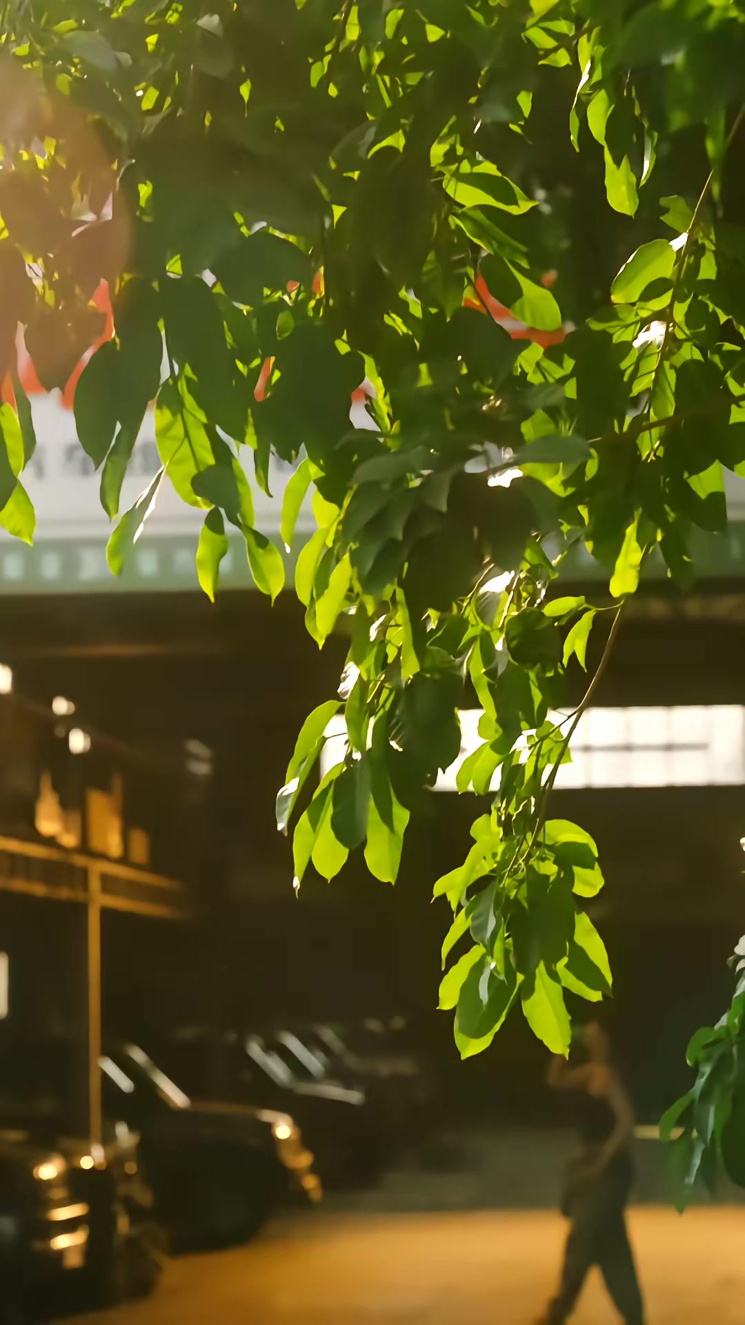 《归路》剧照