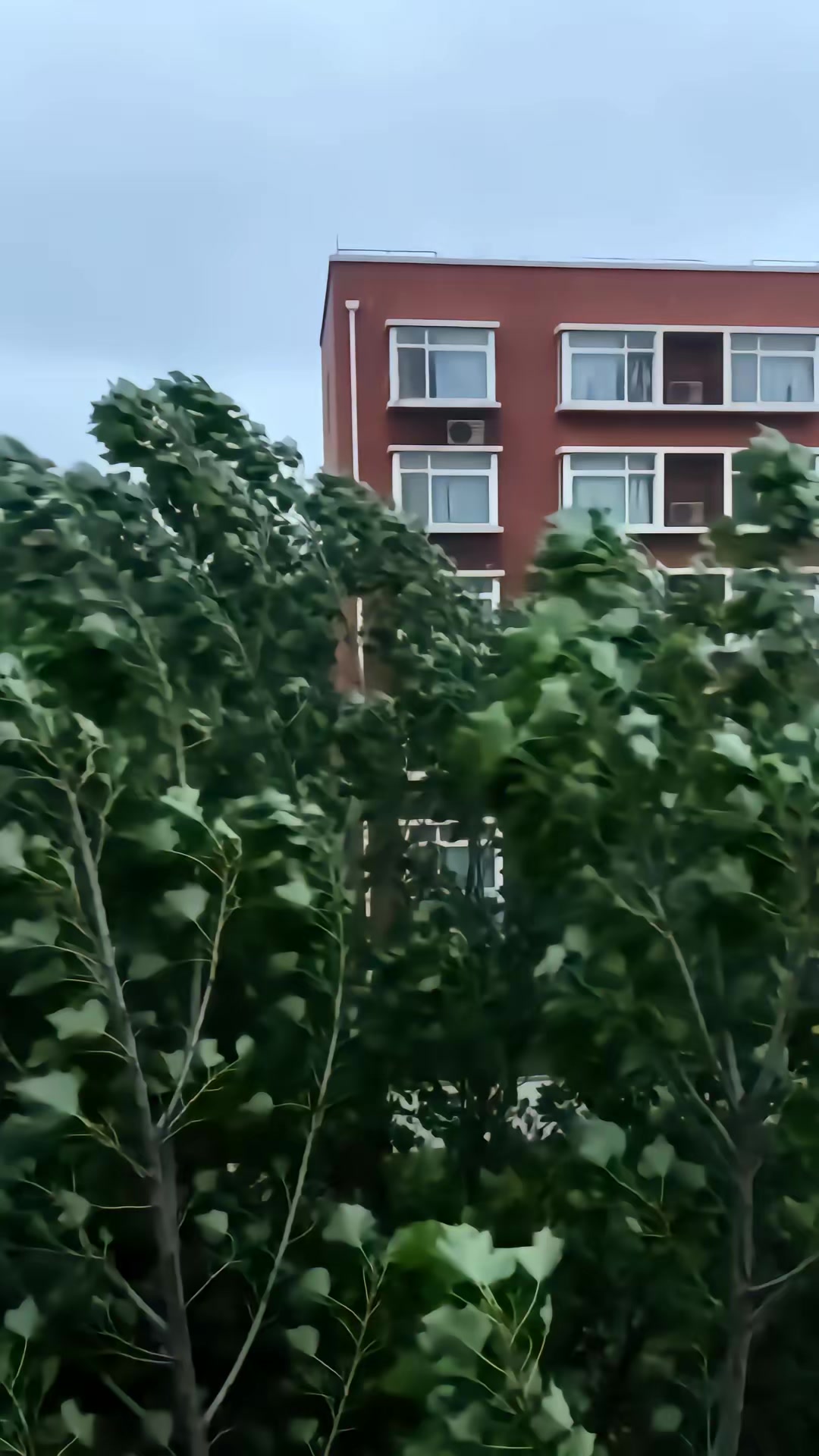 《丈夫靠种地，扶我上青云》剧照